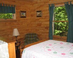 Casa/apartamento entero Acogedor Cedar Log Cabin en Pristine Sand Pond en Noruega, ideal para nadar. (Norway, EE. UU.)
