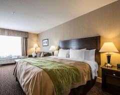 Khách sạn Comfort Inn & Suites Surrey (Surrey, Canada)