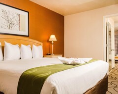 Hotel Quality Inn & Suites Lathrop (Lathrop, USA)