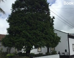 Toàn bộ căn nhà/căn hộ THE CEDAR TREE HOUSE Studio 48 (Ponta Delgada, Bồ Đào Nha)