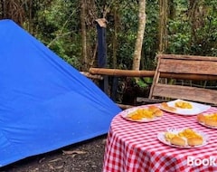 Camping site Refugio los naranjales (El Colegio, Colombia)