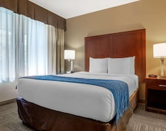 Khách sạn Hotel Comfort Inn & Suites Sea-Tac (SeaTac, Hoa Kỳ)