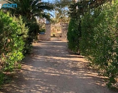 Koko talo/asunto Villa Julia Veneria (Kef, Tunisia)