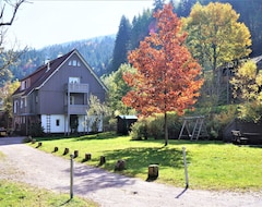 Koko talo/asunto For Nature Lovers And Peace Seekers At The Black Forest National Park (Baiersbronn, Saksa)