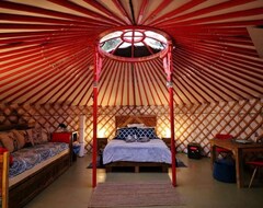 Hele huset/lejligheden Stay In An Authentic Mongolian Yurt With Private Hot Tub (Morell, Canada)