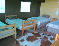Bed & Breakfast Kudu Ridge Game Lodge (Addo Elephant National Park, Sudáfrica)