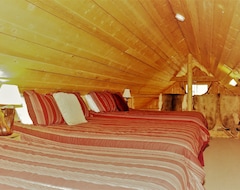 Hele huset/lejligheden Beautiful Cabin Beside Lake Sleeps 10 - Free Canoe & Kayak Use! - Wifi (Lake City, USA)