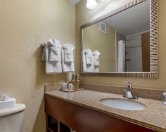 Hotel Comfort Inn At The Park (Fort Mill, USA)