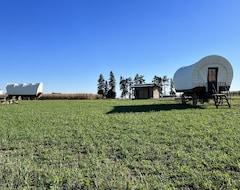 Tüm Ev/Apart Daire Conestoga Wagon Glamping With Bison Prairie View! Heat And A/c (Malcom, ABD)