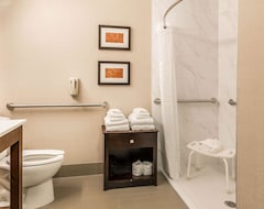 Otel Comfort Suites North (Fort Wayne, ABD)