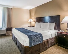 Hotel Comfort Inn & Suites Deland - Near University (DeLand, Sjedinjene Američke Države)