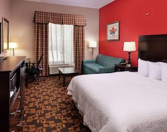 Hotel Hampton Inn Laplace (LaPlace, USA)