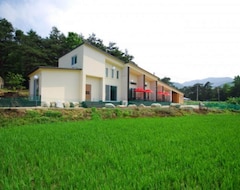 Hotel Pension Tychehouse (Gangneung, Sydkorea)