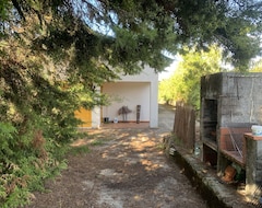Tüm Ev/Apart Daire Pereiras House - Peace, Landscape, Swimming Pool (Vimioso, Portekiz)