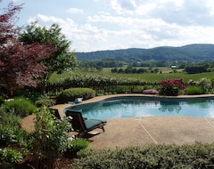 Hele huset/lejligheden Spectacular Mountain Views! Beautifully Appointed. Pool. Hiking Trails. Deck. (Stanardsville, USA)