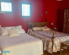 Guesthouse Luxury Positive House Gran Chaparral Toledo (Pepino, Spain)