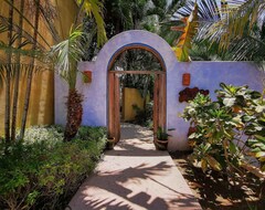 Entire House / Apartment La Casa Ortalis & Casita - Spectacular Oceanfront Home In San Pancho! (Francisco I. Madero, Mexico)