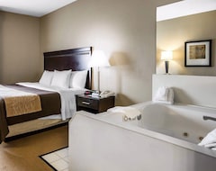Hotel Comfort Inn & Suites Near Tinley Park Amphitheater (Tinley Park, Sjedinjene Američke Države)