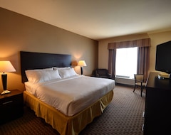 Khách sạn Holiday Inn Express & Suites Del Rio, An Ihg Hotel (Del Rio, Hoa Kỳ)