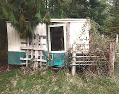 Tüm Ev/Apart Daire Cozy Cabin Nestled In The Woods (Mesachie Lake, Kanada)