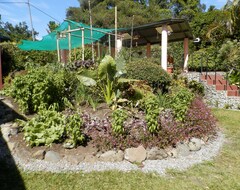 Cijela kuća/apartman Casa Valhalla Walk To Downtown Boquete, Views, River, Gardens And Bird Watching (Los Naranjos, Panama)