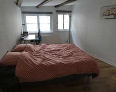 Hele huset/lejligheden Charming And Quiet Apartment 5 Minutes From Downtown (Strasbourg, Frankrig)