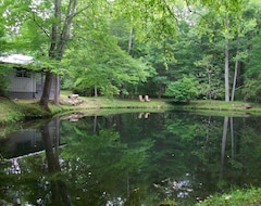 Hele huset/lejligheden Clean, Comfortable Cabin On Rushing Creek W/ Private Swim Pond (Topton, USA)