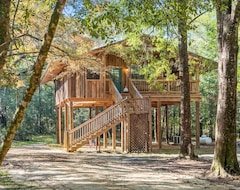 Tüm Ev/Apart Daire The Treehouse: Peaceful Cabin Close To Pcb And 30a (Bonifay, ABD)