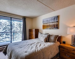 Hotel Komfortabel 1 soveværelse Condo med de seneste opgraderinger. Nem Ski Adgang på Lower Lehman Trail (Breckenridge, USA)