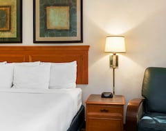 Hotel La Quinta Inn By Wyndham Bossier City (Bossier City, USA)