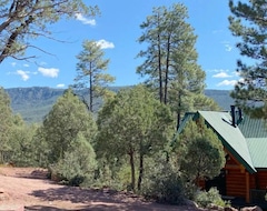 Cijela kuća/apartman New Build Modern Log Cabin (Alpine, Sjedinjene Američke Države)