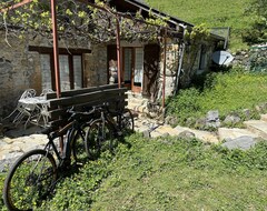 Cijela kuća/apartman Gîte Jaune - Maison Sur Propriété De 5 Ha, Piscine, Sauna, Animaux, (Osse-en-Aspe, Francuska)