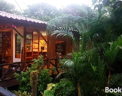 Hotel La Penal Amazon Lodge! (Mera, Ecuador)