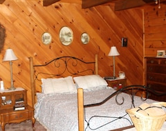 Hele huset/lejligheden Cozy Log Cabin In A Scenic Country (Deposit, USA)