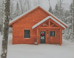 Toàn bộ căn nhà/căn hộ Cozy Cabin With Firepit And Screened Porch (Ripton, Hoa Kỳ)