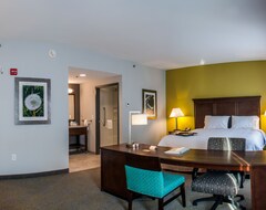Hotel Hampton Inn & Suites Mishawaka/South Bend At Heritage Square (Mishawaka, USA)