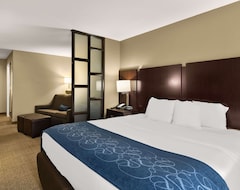 Hotel Comfort Suites Commerce (Commerce, USA)