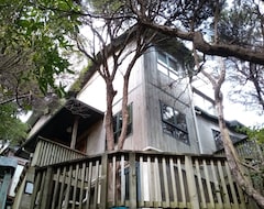 Entire House / Apartment Plimmerton Tree Top House (one Of Two On Hillside) - Surrounded In Manuka Forest (Porirua, New Zealand)