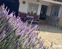 Hele huset/lejligheden Casa Rural Valentina (Almonacid de Toledo, Spanien)