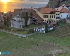 Toàn bộ căn nhà/căn hộ Loft-house - Maison Vigneronne Village Unesco (Rivaz, Thụy Sỹ)