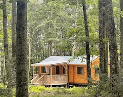 Cijela kuća/apartman Ricketts Glen Fern View Cabin (Punxsutawney, Sjedinjene Američke Države)