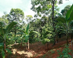 Casa rural Zee's Garden (Kandy, Sri Lanka)