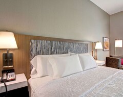 Hotel Hampton Inn & Suites Borger (Borger, USA)