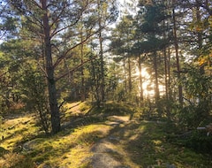 Toàn bộ căn nhà/căn hộ Sunny Swedish Cottage Surrounded By Forest And Silence (Åsensbruk, Thụy Điển)