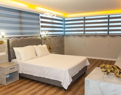 The Hera Business Hotels & Spa (Istanbul, Tyrkiet)