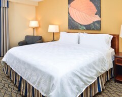 Holiday Inn & Suites Chicago - Downtown, An Ihg Hotel (Chicago, USA)