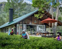 Hotel Madulkelle Tea And Eco Lodge (Kandy, Sri Lanka)