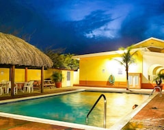 Hotel Coconut Inn (Palm Beach, Aruba)