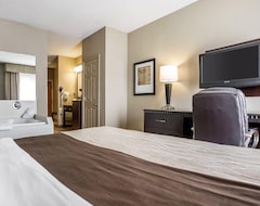 Hotel Comfort Inn & Suites Near Tinley Park Amphitheater (Tinley Park, USA)
