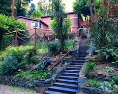 Tüm Ev/Apart Daire Relaxing Redwood Forest Villa At Lagunitas Creek W/hot Tub And Sauna (Bolinas, ABD)